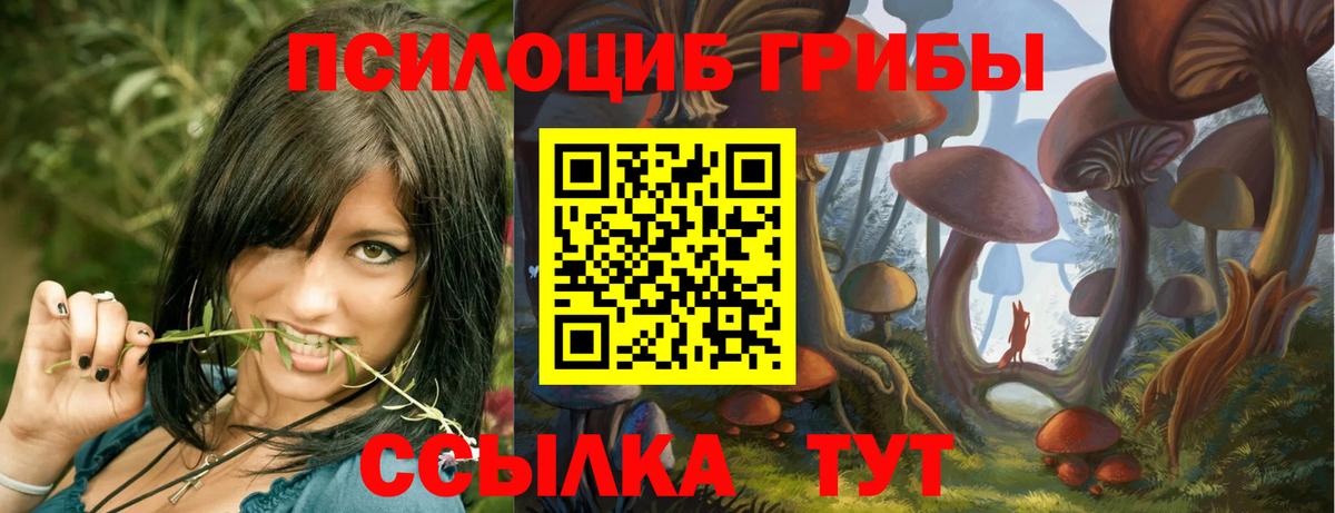 Галлюциногенные грибы Psilocybe  Вход с VPN  Котлас  Галлюциногенные грибы Cubensis 